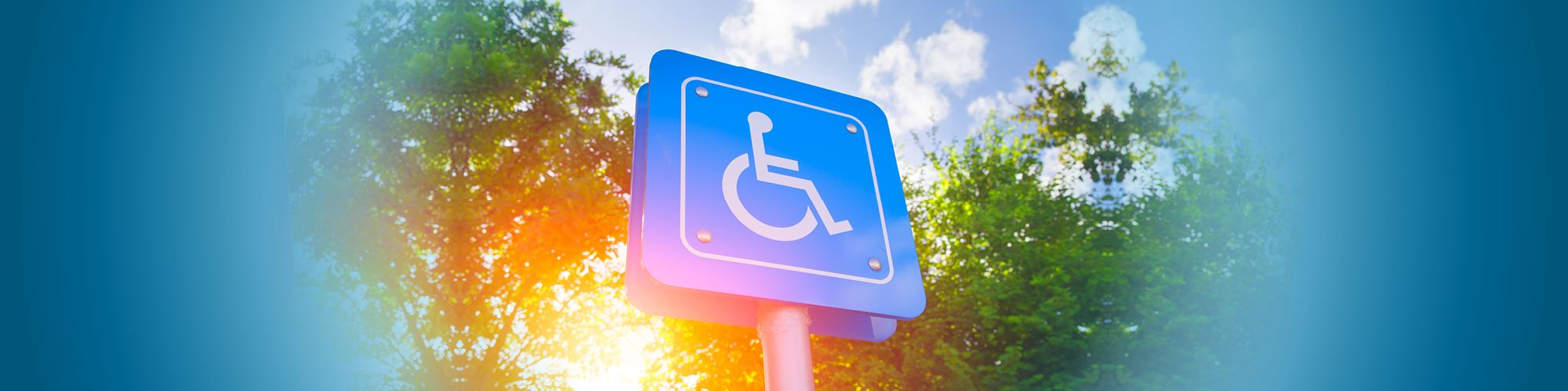 Invisable Disabilities