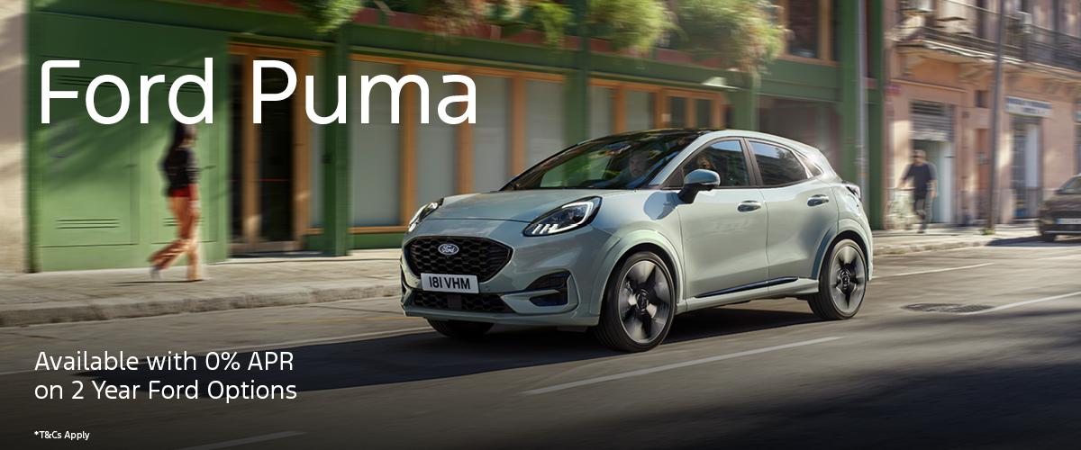 Puma Banner