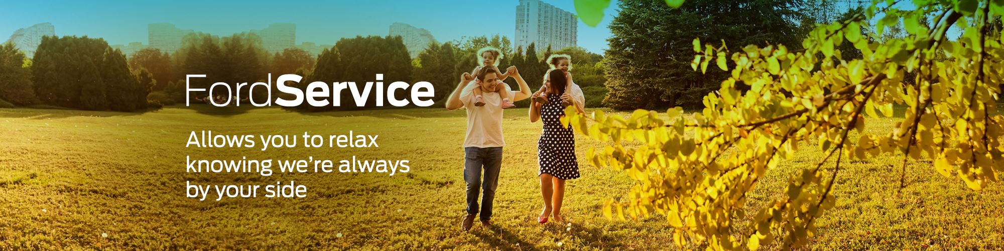 Ford service banner