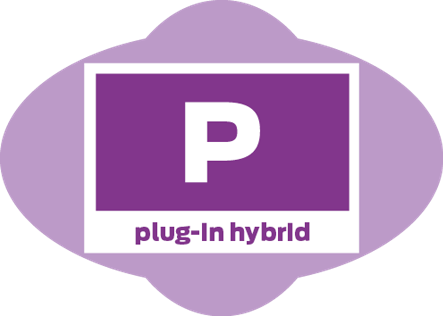 Plug In Hybrid