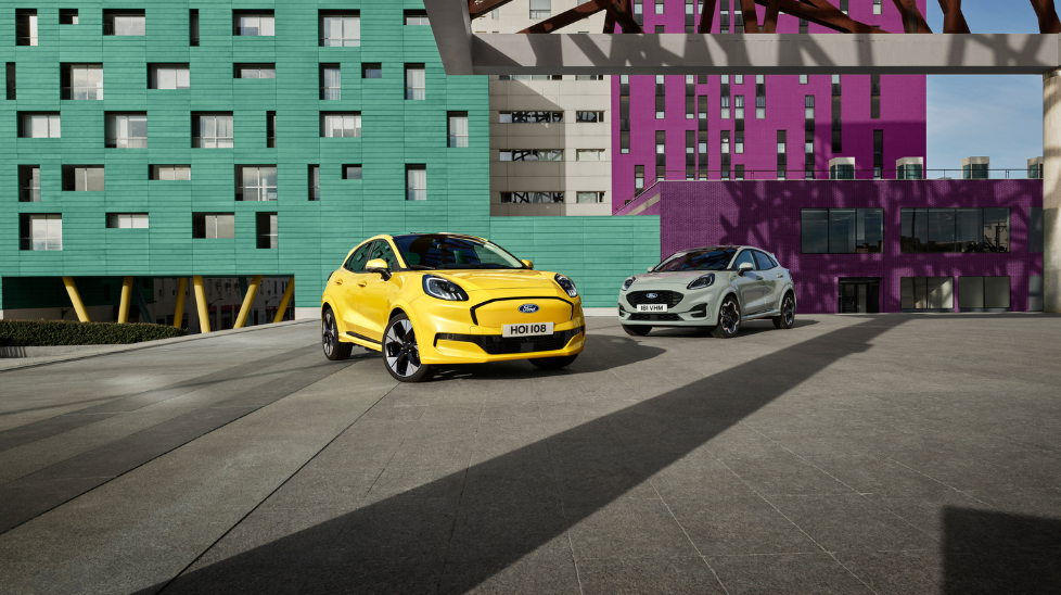 pick your puma image