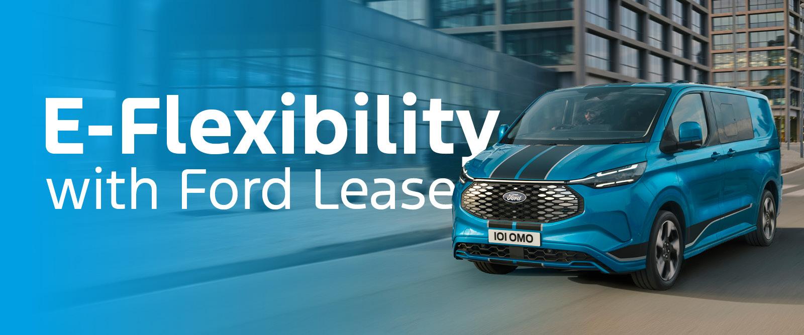 E-Flex Banner