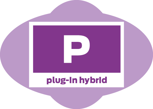 Plug in hybrid